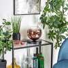 Apedo Tischleuchte Glas 20 cm Klar, Kupferfarben, 1-flammig