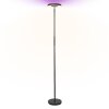LEDVANCE Smart+ Wifi Stehlampe Schwarz, 1-flammig, Farbwechsler