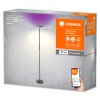 LEDVANCE Smart+ Wifi Stehlampe Schwarz, 1-flammig, Farbwechsler