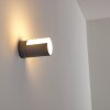 Baulund Außenwandleuchte LED Anthrazit, 1-flammig