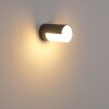 Baulund Außenwandleuchte LED Anthrazit, 1-flammig