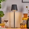 Salgadinho Tischleuchte LED Schwarz, 1-flammig