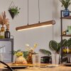 Carbellino Pendelleuchte LED Dunkelbraun, Schwarz, 1-flammig