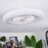 Benesal Deckenventilator Weiß, 1-flammig, Fernbedienung
