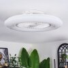 Benesal Deckenventilator Weiß, 1-flammig, Fernbedienung
