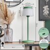 Algeraz Tischleuchte 2-er Set LED Grün, 1-flammig