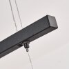 Casalino Pendelleuchte LED Schwarz, Transparent, Klar, 1-flammig
