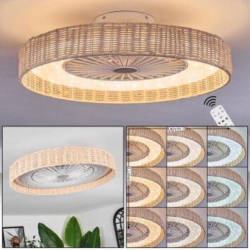 Benasal Deckenventilator mit Beleuchtung Naturfarben, Weiß, 1-flammig, Fernbedienung