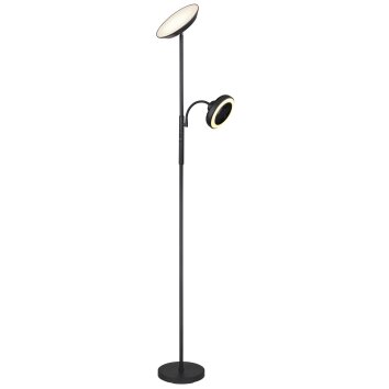 Globo DAVYD Deckenfluter LED Schwarz, 1-flammig Globo DAVYD Deckenfluter LED Schwarz, 1-flammig
