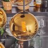 Koyoto Hängeleuchte 20 cm Gold, Klar, 4-flammig Koyoto Hängeleuchte 20 cm Gold, Klar, 4-flammig