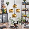 Koyoto Hängeleuchte 20 cm Gold, Klar, 4-flammig Koyoto Hängeleuchte 20 cm Gold, Klar, 4-flammig