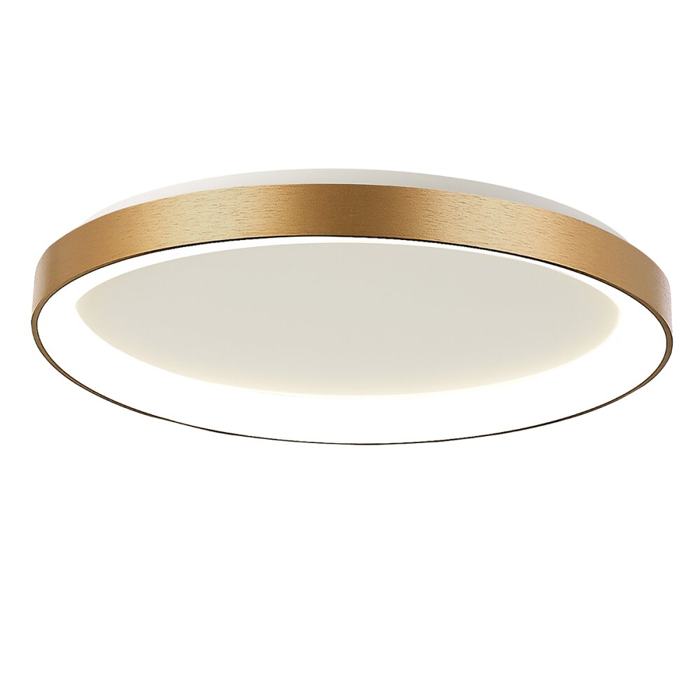 Steinhauer Ringlede Deckenleuchte Gold, 1-flammig main product photo
