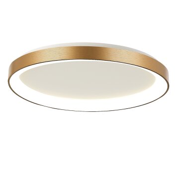 Steinhauer Ringlede Deckenleuchte Gold, 1-flammig
