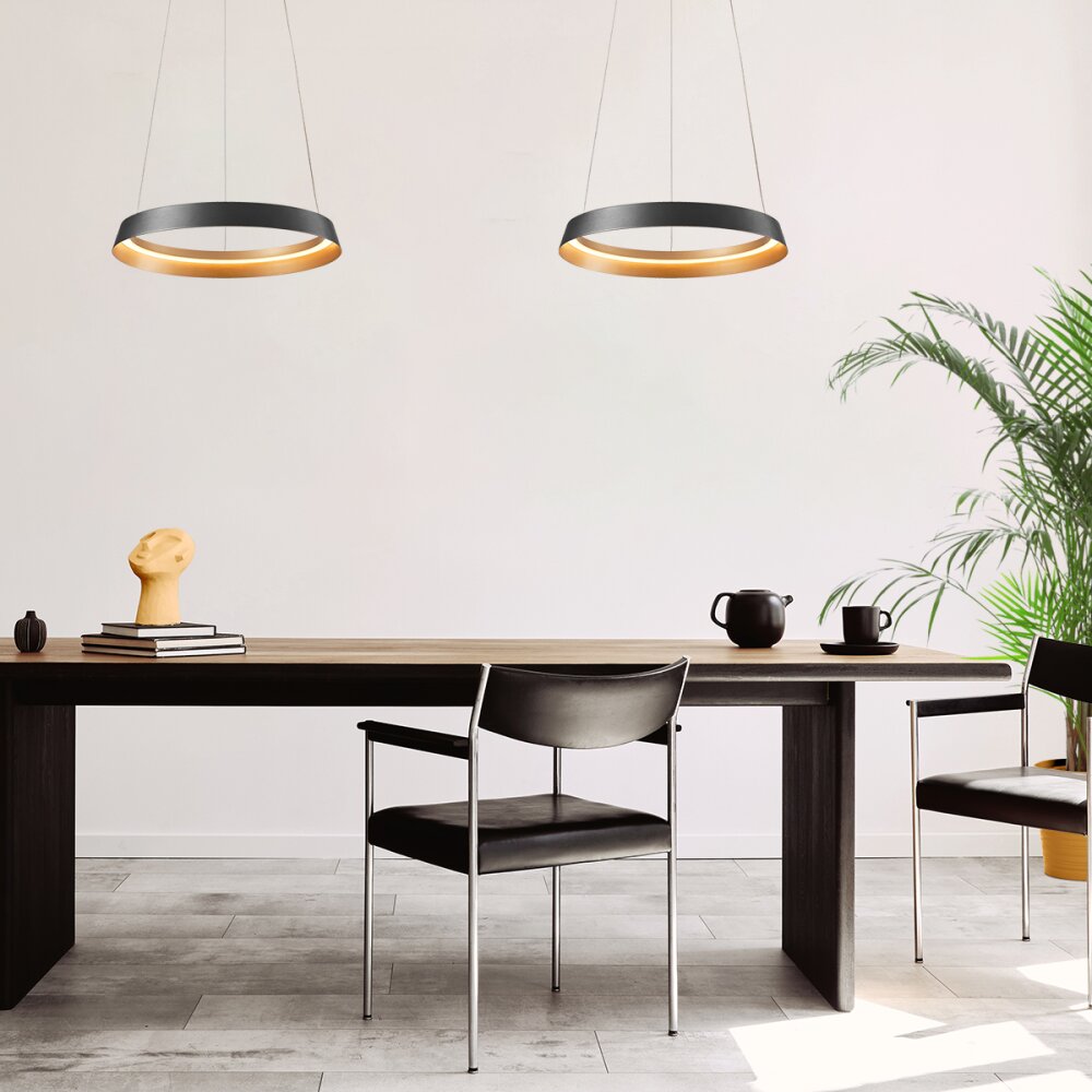 Steinhauer Ringlux Pendelleuchte LED Schwarz, 1-flammig main product photo