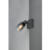 Reality Cadiz Deckenspot Anthrazit, 1-flammig