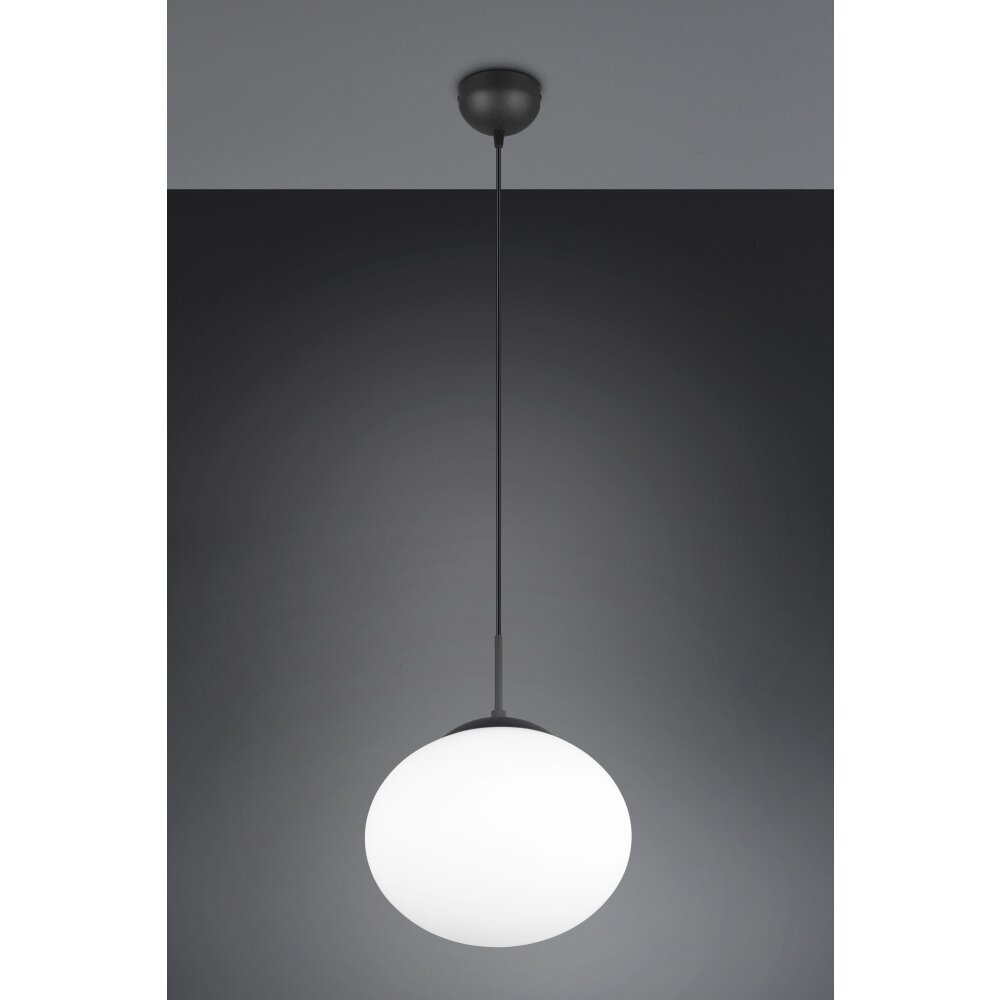 Trio Fomento Pendelleuchte Schwarz, 1-flammig main product photo