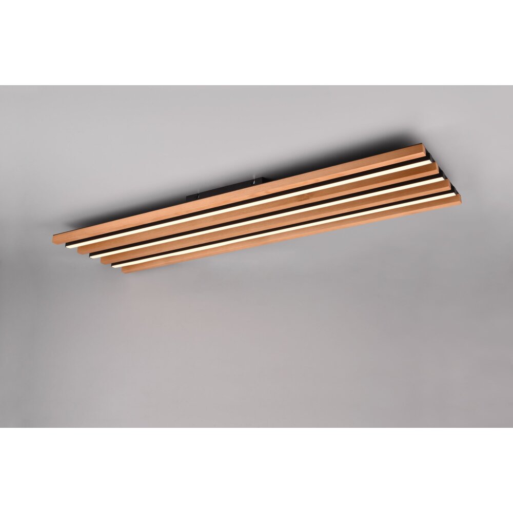 Trio Fontana Deckenleuchte LED Schwarz, 1-flammig main product photo
