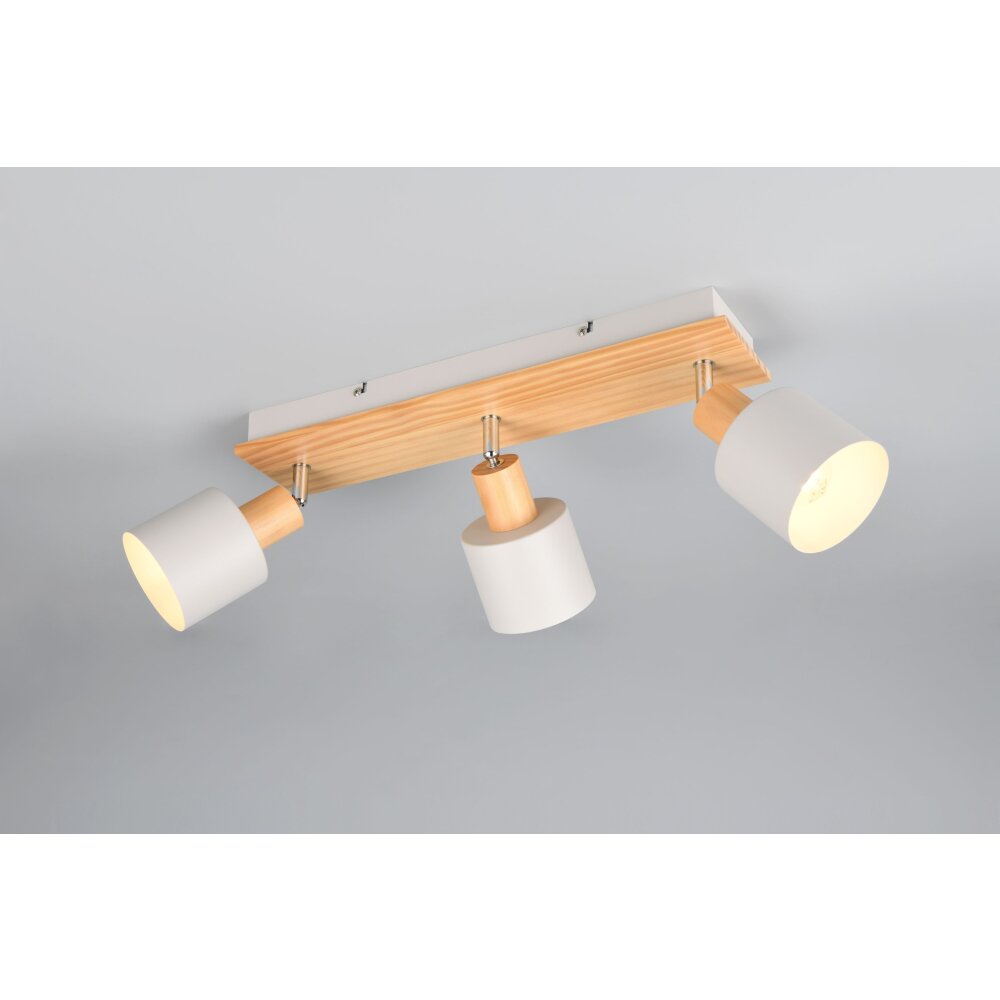 Trio Shanti Deckenspot Grau, 3-flammig main product photo