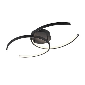 Reality COCOS Deckenleuchte LED Anthrazit, 2-flammig