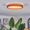 Sofo Deckenleuchte LED Weiß, 1-flammig