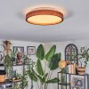 Sofo Deckenleuchte LED Weiß, 1-flammig