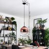 Gastor Hängeleuchte Glas 30 cm Klar, Kupferfarben, 1-flammig