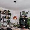 Gastor Hängeleuchte Glas 25 cm Klar, Kupferfarben, 1-flammig