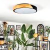 Cadaixo Deckenleuchte LED Weiß, 1-flammig, Fernbedienung