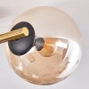 Gastor Deckenleuchte Glas 15 cm Gold, Schwarz, 3-flammig