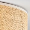 Antillo Deckenleuchte Weiß, 3-flammig