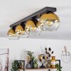 Koyoto Deckenleuchte Glas 15 cm Gold, Klar, 4-flammig