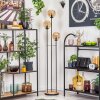 Gastor Stehleuchte Glas 15 cm Holz hell, Schwarz, 3-flammig