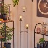 Gastor Stehleuchte Glas 15 cm Holz hell, Schwarz, 3-flammig