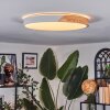 Cadaixo Deckenleuchte LED Naturfarben, Weiß, 1-flammig, Fernbedienung