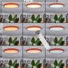 Sofo Deckenleuchte LED Naturfarben, 1-flammig, Fernbedienung