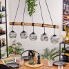 Ripoll Pendelleuchte Glas 15 cm Naturfarben, Schwarz, 5-flammig