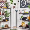 Koyoto Stehleuchte Glas 15 cm Holz hell, Schwarz, 3-flammig