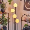 Gastor Stehleuchte Glas 15 cm Holz dunkel, Schwarz, 4-flammig