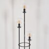 Gastor Stehleuchte Glas 15 cm Schwarz, 3-flammig
