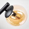 Chehalis Deckenleuchte Glas 10 cm Bernsteinfarben, Rauchfarben, 3-flammig
