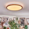 Nogueira Deckenleuchte LED Weiß, 1-flammig, Fernbedienung