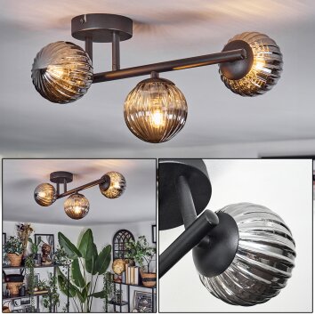 Chehalis Deckenleuchte Glas 10 cm Rauchfarben, 3-flammig