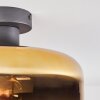 Boza Deckenleuchte Glas 28 cm Gold, Klar, 1-flammig