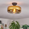 Boza Deckenleuchte Glas 28 cm Gold, Klar, 1-flammig