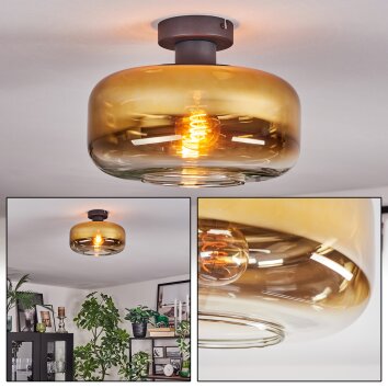Boza Deckenleuchte Glas 28 cm Gold, Klar, 1-flammig