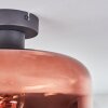 Boza Deckenleuchte Glas 28 cm Klar, Kupferfarben, 1-flammig