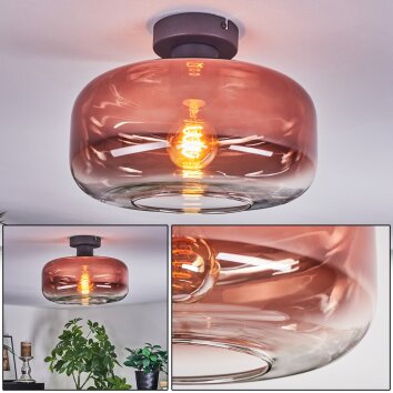 Boza Deckenleuchte Glas 28 cm Klar, Kupferfarben, 1-flammig