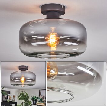 Boza Deckenleuchte Glas 28 cm Klar, Rauchfarben, 1-flammig