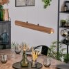 Fugelsta Pendelleuchte LED Schwarz, 1-flammig