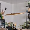 Fugelsta Pendelleuchte LED Schwarz, 1-flammig